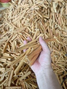 Cassia Cinnamon Stick