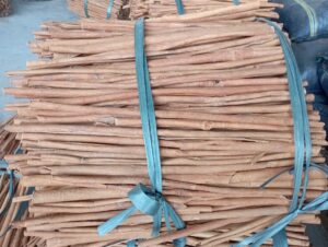 Cassia Cinnamon Stick