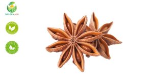 star anise, whole star anise, dried star anise, star anise Vietnam, star anise spice, star anise tea, Vietnamese star anise, star anise for export, organic star anise, anise spice, star anise pods, star anise for cooking, Illicium verum, bulk star anise supplier, star anise health benefits