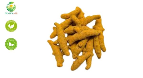 nghệ khô, củ nghệ khô, nghệ sấy khô, curcuma longa, nghệ vàng khô, nghệ lát khô, nghệ khô nguyên củ, nghệ dùng cho dược liệu, nghệ xuất khẩu, nghệ khô Việt Nam