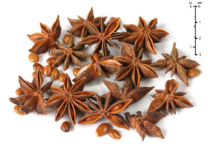 star anise oil, china star anise oil, chinese star anise oil, organic star anise oil, star anise china, star anise chinese, star anise organic oil, star anise vietnamese, vietnam star anise, 八角茴香油, 八角茴香油制造, 有机八角茴香油