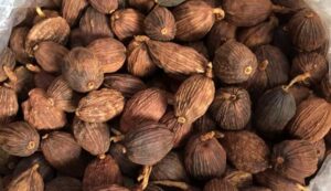 cardamom, green cardamom pods, black cardamom, cardamom Vietnam, bulk cardamom supplier, cardamom for tea, ground cardamom, natural spice, cardamom health benefits, cooking with cardamom, cardamom export Vietnam