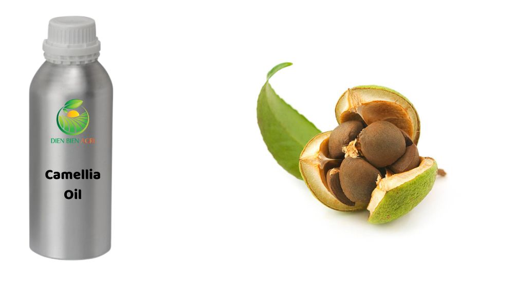 Camellia Oil, camellia essential oil