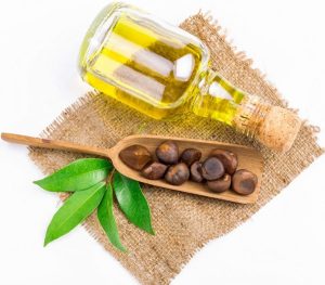 Camellia Oil, camellia essential oil, bio camellia oil, camellia oil, camellia oil bio, camellia oil organic, chinese camelia oil, chinese tea seeds oil, dầu sờ, organic camellia oil, organic tea seeds oil, tea seed oil, tea seeds oil
