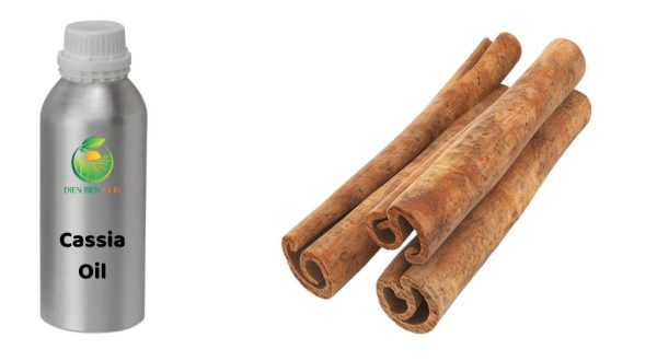 cassia oil, cassia