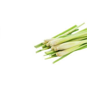 Citronella Oil, tinh dầu sả java, sả java, citronella