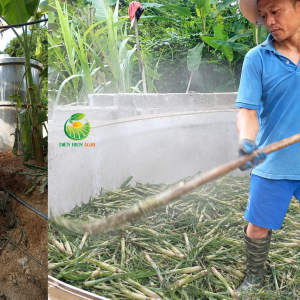 tinh dầu sả Java Việt Nam, tinh dầu sả Java nguyên chất, tinh dầu sả Java tự nhiên, tinh dầu sả Java nguyên liệu, Java Citronella Essential Oil, Java Citronella Oil Vietnam, tinh dầu Cymbopogon winterianus, tinh dầu sả Java số lượng lớn, tinh dầu sả Java làm mỹ phẩm, tinh dầu sả Java làm nước hoa, tinh dầu sả Java làm xà phòng, tinh dầu sả Java chưng cất hơi nước