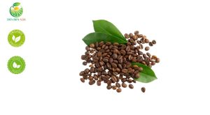 cà phê Mường Ảng, cà phê Arabica Mường Ảng, cà phê đặc sản Tây Bắc, cà phê nguyên chất, cà phê rang mộc, cà phê hữu cơ, cà phê sạch Điện Biên, cà phê thượng hạng, hạt cà phê Arabica, cà phê nguyên hạt, cà phê cao nguyên, cà phê không phụ gia, cà phê Arabica Tây Bắc, cà phê đậm vị thiên nhiên, cà phê thủ công, cà phê đặc sản Việt Nam