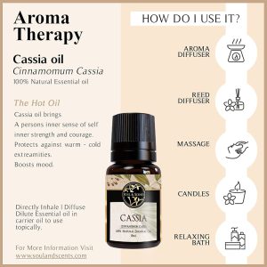 bio cassia oil, bio cinnamon, cassia oil, cassia oil bio, cinnamon oil, cinnamon oil bio, cinnamon oil specifications, coa cassia oil, coa cinnamon oil, organic cassia oil, organic cinnamon oil, 有机桂皮油, 桂皮油, cassia bark oil, cinnamon bark oil