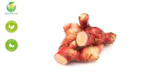 củ riềng, củ riềng tươi, củ riềng khô, riềng khô thái lát, riềng tươi sạch, mua củ riềng ở đâu, công dụng của củ riềng, riềng làm thuốc, gia vị riềng, củ riềng dùng để làm gì, cách dùng củ riềng, riềng tươi chế biến món ăn
