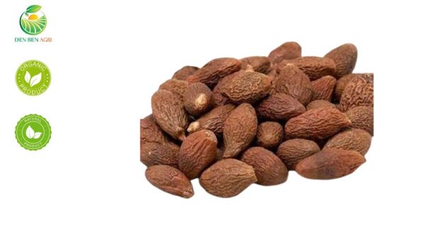 hạt ươi , hạt đười ươi , hạt ươi bay, quả đười ươi,, malva nut