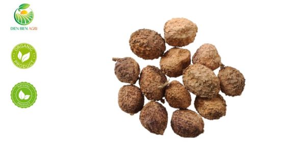 sa nhân tím, sa nhân, purple cardamom