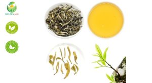 tua chua snow shan tea, snow shan tea, shan tea, snow shan, tua chua tea, exporter snow shan tea, snow shan tea vietnam, shan tea vietnam, tua chua tea vietnam, organic snow shan tea, organic snow shan tea exporter vietnam