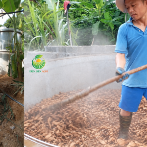 tinh dầu pơ mu Việt Nam, tinh dầu pơ mu nguyên chất, tinh dầu pơ mu tự nhiên, tinh dầu gỗ pơ mu, dầu pơ mu, tinh dầu Fokienia hodginsii, tinh dầu pơ mu nguyên liệu, tinh dầu pơ mu số lượng lớn, nhà cung cấp tinh dầu pơ mu