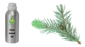 siam wood oil, siam wood vietnam, siam wood, coa siam wood oil, organic pemou oil, organic pomu oil, organic siam wood oil, pemou oil, pomu oil, siam wood oil, siam wood oil exporter, siam wood oil manufacture, specification siam wood oil, 暹罗木油, 福建柏油