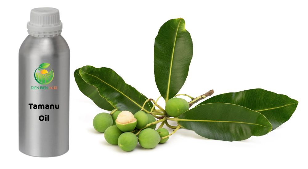 tamanu oil, tamanu