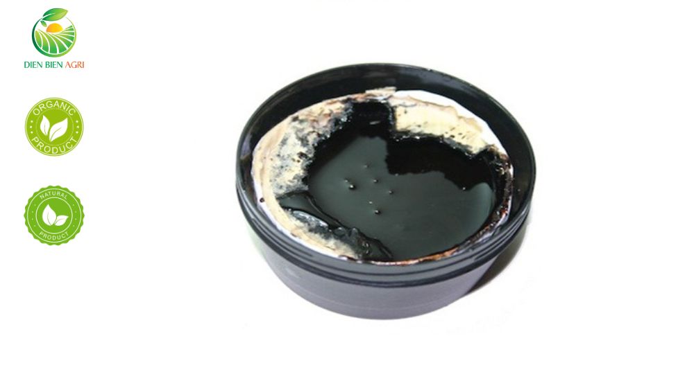 lacquer resin, lacquer, vanish resin, laccol, nhựa sơn ta, sơn ta, lacquer resin vietnam
