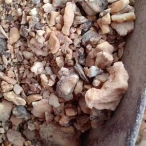 benzoin siam, benzoin , benzoin vietnam, vietnam benzoin siam