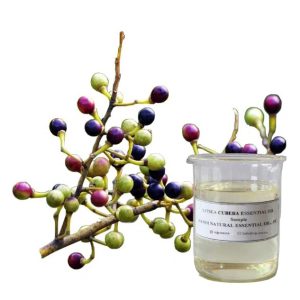 litsea cubeba oil organic, litsea cubebe oil, litsea oil, may chang oil, may chang oil organic, organic litsea cubeba oil, organic may chang oil, specifications litsea cubeba oil, 山鸡椒油, 山鸡椒油制造, 有机山鸡椒油