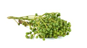 litsea cubeba seed, litsea cubeba, may chang seed, litsea cubeba vietnam, may chang