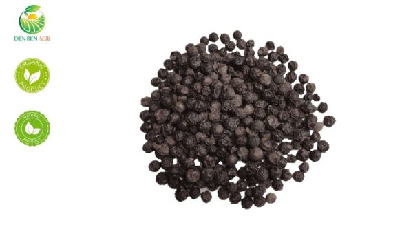 litsea cubeba seed, litsea cubeba, may chang seed, litsea cubeba vietnam, may chang