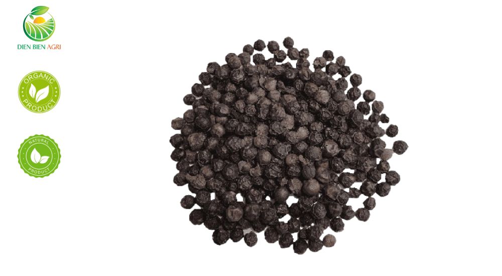 litsea cubeba seed, litsea cubeba, may chang seed, litsea cubeba vietnam, may chang