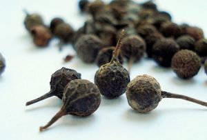 litsea cubeba seed, litsea cubeba, may chang seed, litsea cubeba vietnam, may chang, verbena pepper, verbena, may chang, vietnam cubeb pepper, ma khaen pepper, moutain pepper, Tropical Verbena