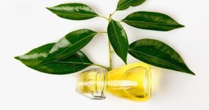 camphor oil