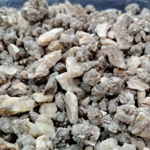 benzoin siam, benzoin , benzoin vietnam, vietnam benzoin siam