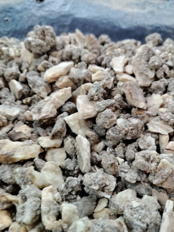 benzoin siam, benzoin , benzoin vietnam, vietnam benzoin siam