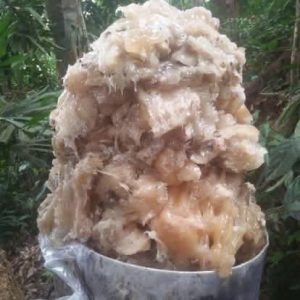 Elemi Resin, Elemi Resin Vietnam, Vietnamese Elemi Resin, natural Elemi Resin, pure Elemi Resin, Elemi Gum, Elemi Gum Vietnam, Canarium album resin, natural tree resin, Vietnam natural resin, Elemi tree resin, Elemi supplier, Elemi Resin wholesale