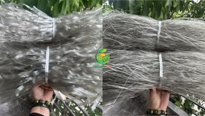 miến dong Điện Biên, miến dong Việt Nam, miến dong tự nhiên, miến dong khô, miến dong sợi to, miến dong sợi nhỏ, miến dong chất lượng cao, miến dong xuất khẩu, miến dong nguyên liệu, miến dong số lượng lớn, miến dong giá sỉ, miến dong làm từ gì, tinh bột dong riềng, miến dong Việt Nam xuất khẩu