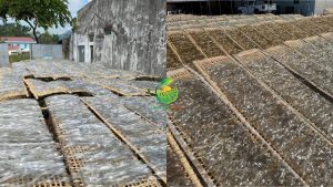miến dong Điện Biên, miến dong Việt Nam, miến dong tự nhiên, miến dong khô, miến dong sợi to, miến dong sợi nhỏ, miến dong chất lượng cao, miến dong xuất khẩu, miến dong nguyên liệu, miến dong số lượng lớn, miến dong giá sỉ, miến dong làm từ gì, tinh bột dong riềng, miến dong Việt Nam xuất khẩu
