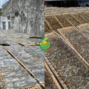 miến dong Điện Biên, miến dong Việt Nam, miến dong tự nhiên, miến dong khô, miến dong sợi to, miến dong sợi nhỏ, miến dong chất lượng cao, miến dong xuất khẩu, miến dong nguyên liệu, miến dong số lượng lớn, miến dong giá sỉ, miến dong làm từ gì, tinh bột dong riềng, miến dong Việt Nam xuất khẩu