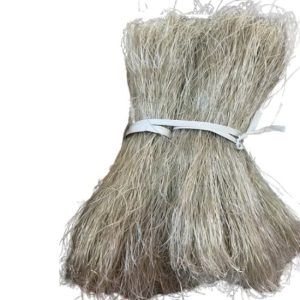 miến dong Việt Nam, miến dong tự nhiên, miến dong khô, miến dong chất lượng cao, miến dong xuất khẩu, miến dong nguyên liệu, miến dong số lượng lớn, miến dong giá sỉ, miến dong làm từ gì, tinh bột dong riềng, miến dong Việt Nam xuất khẩu, miến dong điện biên, miến dong sợi nhỏ, miến dong sợi to