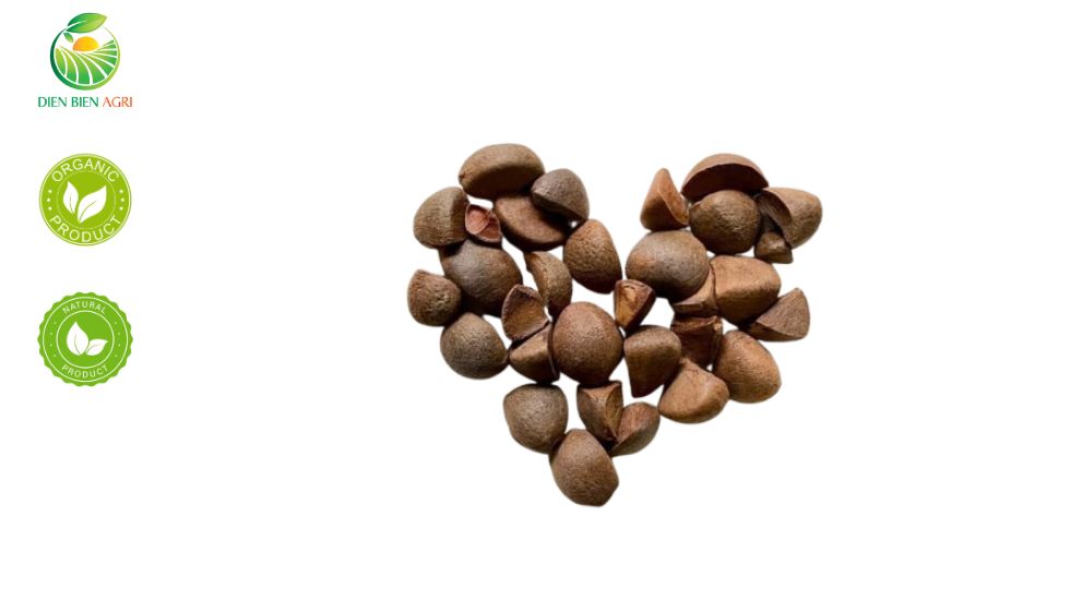 camellia seed, camellia seed vietnam, tea seed , tea seed vietnam, Camellia oleifera seed, hạt sở, quả sở, hạt sở thô. camellia seed vietnam