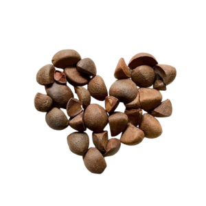camellia seed, camellia seed vietnam, tea seed , tea seed vietnam, Camellia oleifera seed