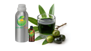 tamanu oil, what is tamanu oil, tamanu oil benefits, tamanu oil uses, calophyllum inophyllum oil, cold pressed tamanu oil, natural tamanu oil, vietnam tamanu oil, tamanu oil supplier, cosmetic tamanu oil, carrier oil, botanical oil, premium tamanu oil, tamanu oil manufacturer, organic tamanu oil