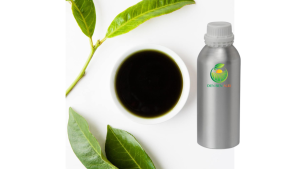 tamanu oil, what is tamanu oil, tamanu oil benefits, tamanu oil uses, calophyllum inophyllum oil, cold pressed tamanu oil, natural tamanu oil, vietnam tamanu oil, tamanu oil supplier, cosmetic tamanu oil, carrier oil, botanical oil, premium tamanu oil, tamanu oil manufacturer, organic tamanu oil