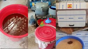 dầu sở, dầu hạt sở, dầu sở Việt Nam, dầu sở tự nhiên, dầu sở nguyên chất, dầu sở ép lạnh, dầu hạt cây sở, dầu sở mỹ phẩm, dầu sở làm xà phòng, dầu sở thực phẩm, dầu Camellia oleifera, Camellia oleifera oil, camellia seed oil, camellia oil Vietnam, Vietnamese camellia oil