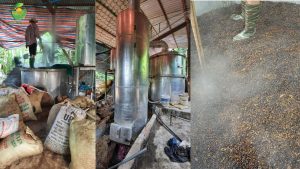 Tinh dầu màng tang Việt Nam, dầu màng tang Việt Nam, tinh dầu Litsea Cubeba, dầu Litsea Cubeba, tinh dầu May Chang, dầu May Chang, tinh dầu màng tang tự nhiên, tinh dầu màng tang nguyên chất, tinh dầu Việt Nam, tinh dầu quả màng tang, nhà cung cấp tinh dầu màng tang, tinh dầu màng tang bán buôn