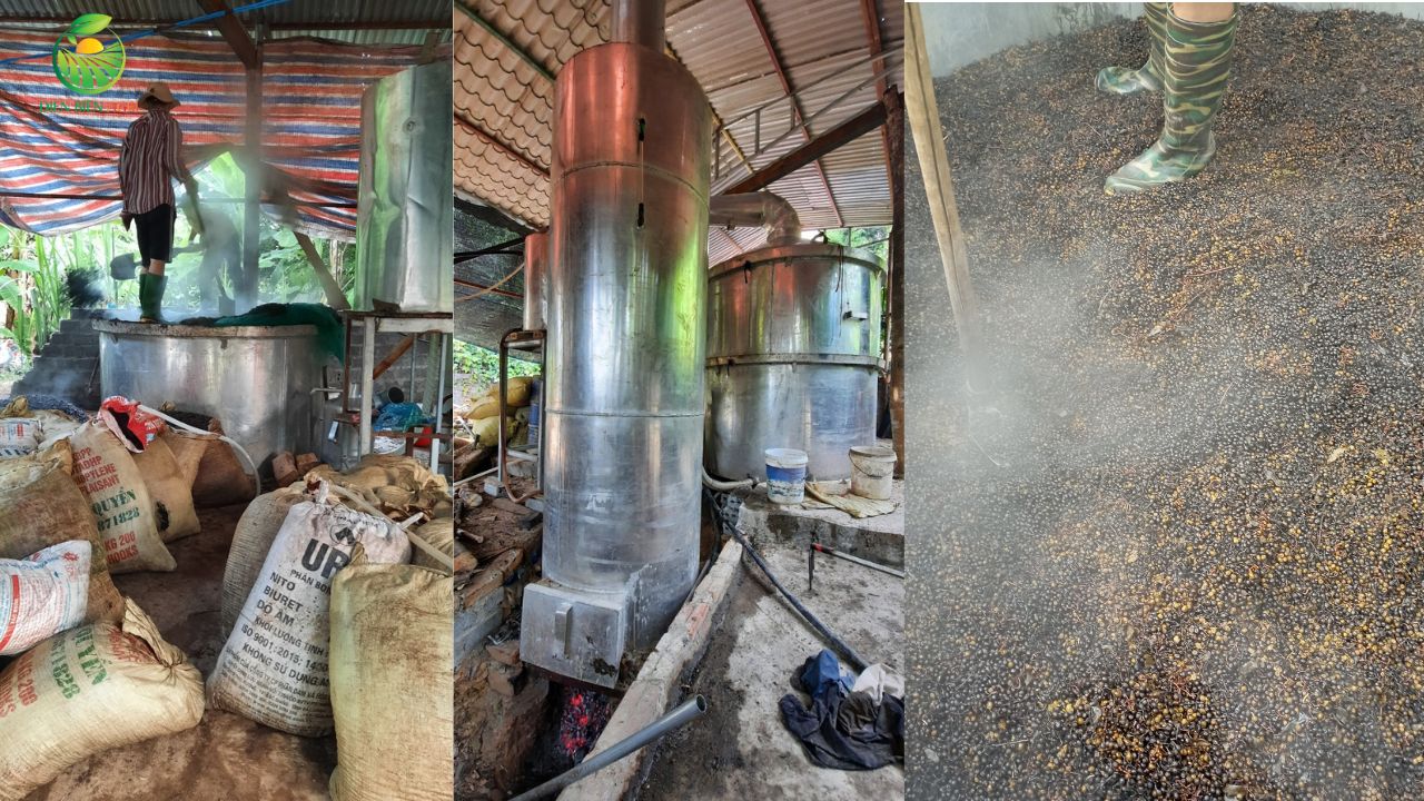 Tinh dầu màng tang Việt Nam, dầu màng tang Việt Nam, tinh dầu Litsea Cubeba, dầu Litsea Cubeba, tinh dầu May Chang, dầu May Chang, tinh dầu màng tang tự nhiên, tinh dầu màng tang nguyên chất, tinh dầu Việt Nam, tinh dầu quả màng tang, nhà cung cấp tinh dầu màng tang, tinh dầu màng tang bán buôn Tinh dầu màng tang Việt Nam, dầu màng tang Việt Nam, tinh dầu Litsea Cubeba, dầu Litsea Cubeba, tinh dầu May Chang, dầu May Chang, tinh dầu màng tang tự nhiên, tinh dầu màng tang nguyên chất, tinh dầu Việt Nam, tinh dầu quả màng tang, nhà cung cấp tinh dầu màng tang, tinh dầu màng tang bán buôn