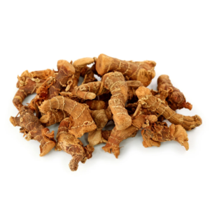galangal, galangal root, Alpinia galanga, galangal spice, Vietnamese galangal, fresh galangal, dried galangal, galangal powder, galangal for cooking, galangal herb, galangal for tea, bulk galangal supplier 