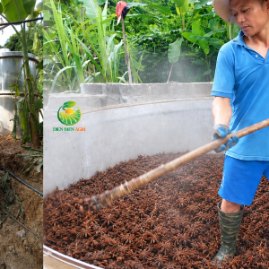 tinh dầu hoa hồi Việt Nam, tinh dầu hoa hồi nguyên chất, tinh dầu hoa hồi tự nhiên, tinh dầu đại hồi, tinh dầu quả hồi, tinh dầu hoa hồi nguyên liệu, tinh dầu hoa hồi số lượng lớn, tinh dầu hoa hồi làm mỹ phẩm, tinh dầu hoa hồi làm nước hoa, tinh dầu hoa hồi làm xà phòng, tinh dầu hoa hồi chưng cất hơi nước, tinh dầu hoa hồi Việt Nam giá sỉ