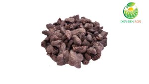 nhựa cánh kiến đỏ là gì, nhựa cánh kiến đỏ, seedlac, nhựa cánh kiến đỏ tự nhiên, công dụng nhựa cánh kiến đỏ, ứng dụng nhựa cánh kiến đỏ, nhựa cánh kiến đỏ làm shellac, nhựa cánh kiến đỏ Việt Nam, nhà cung cấp nhựa cánh kiến đỏ, seedlac Việt Nam