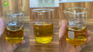 Tinh dầu màng tang Việt Nam, dầu màng tang Việt Nam, tinh dầu Litsea Cubeba, dầu Litsea Cubeba, tinh dầu May Chang, dầu May Chang, tinh dầu màng tang tự nhiên, tinh dầu màng tang nguyên chất, tinh dầu Việt Nam, tinh dầu quả màng tang, nhà cung cấp tinh dầu màng tang, tinh dầu màng tang bán buôn