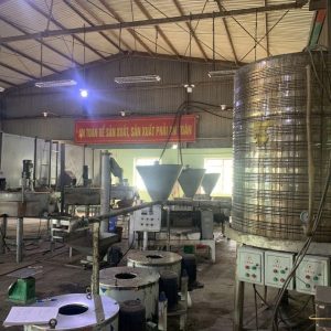 tung seed, tung seed vietnam , vietnam tung seed