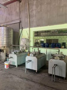 tung seed, tung seed vietnam , vietnam tung seed