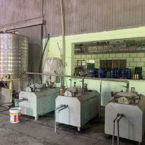 tung seed, tung seed vietnam , vietnam tung seed