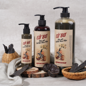 black locust, bồ kết, soap tree, honey locust, honey locust pod